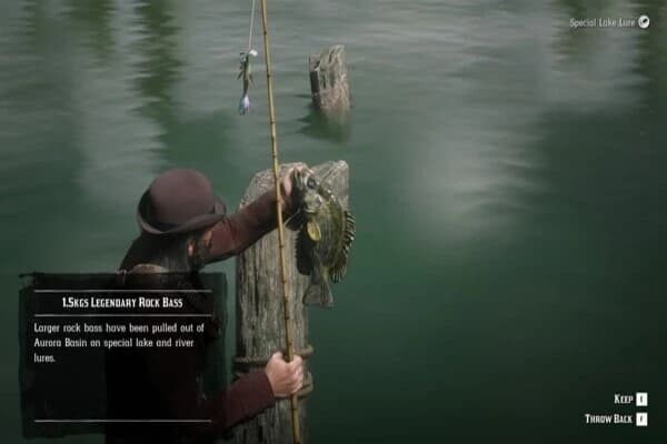 RDR 2 Balıkçılık Rehberi